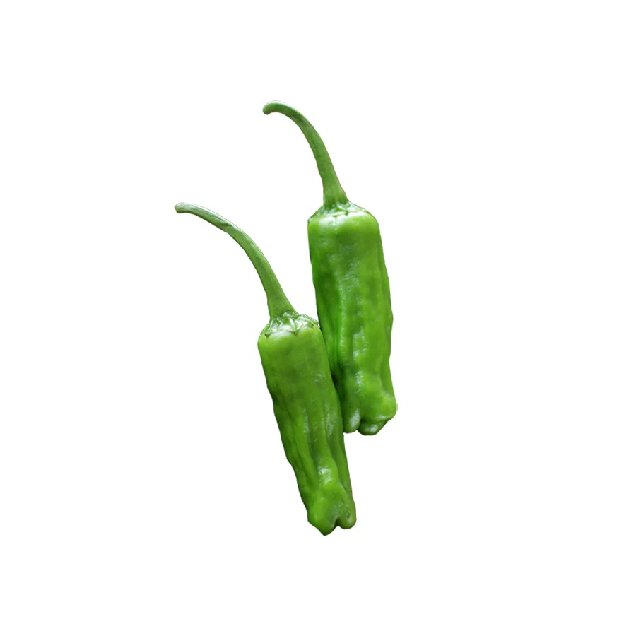 Yeni Nesil Padron Biber Tohumu
